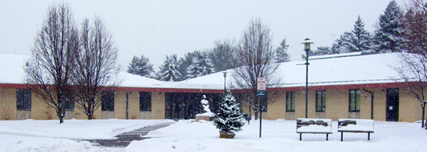 Snowy La Roche University